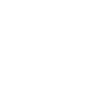 硬質(zhì)快速門